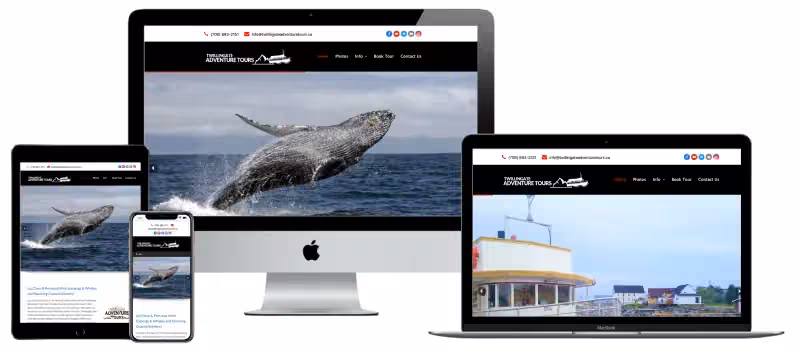 Twillingate Adventure Tours website